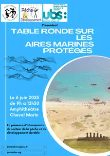 v1 affiche table ronde 6 juin 1